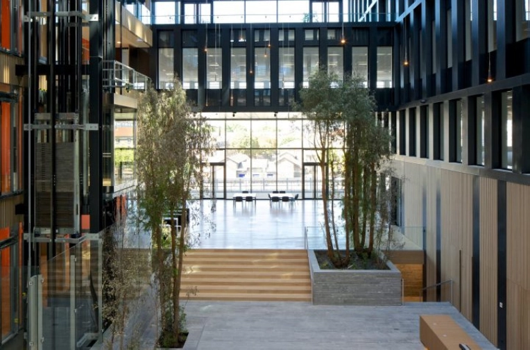 Image5